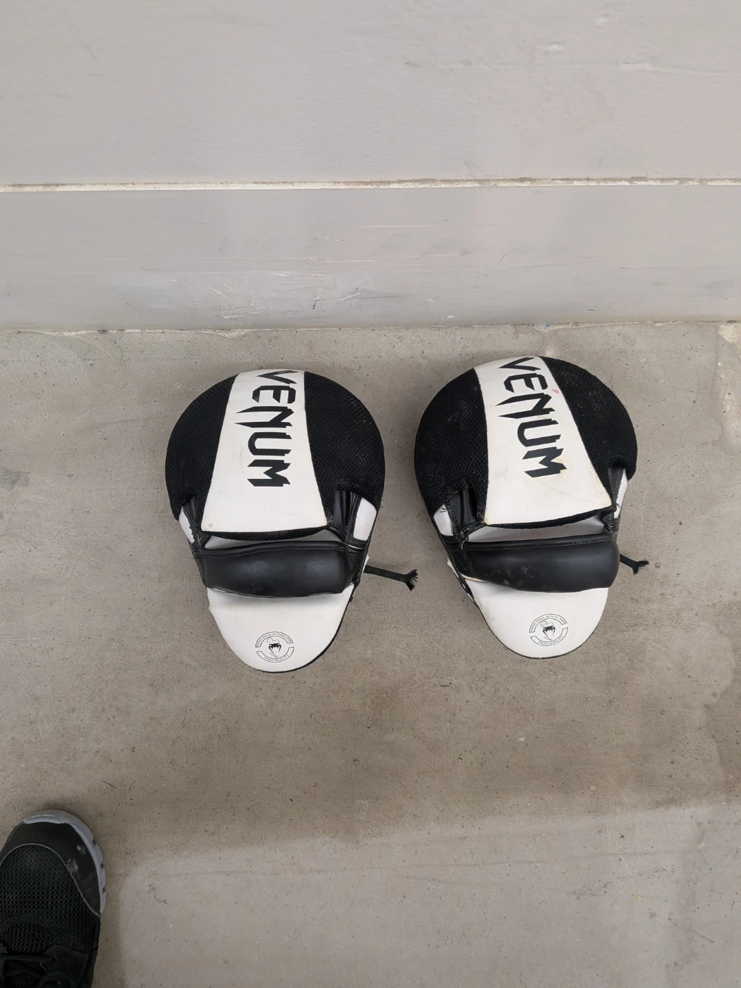 Venum Boxing Focus Mitts - photo 2