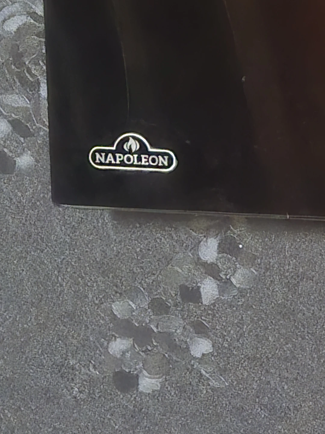 Napoleon Electric Fireplace - photo 4