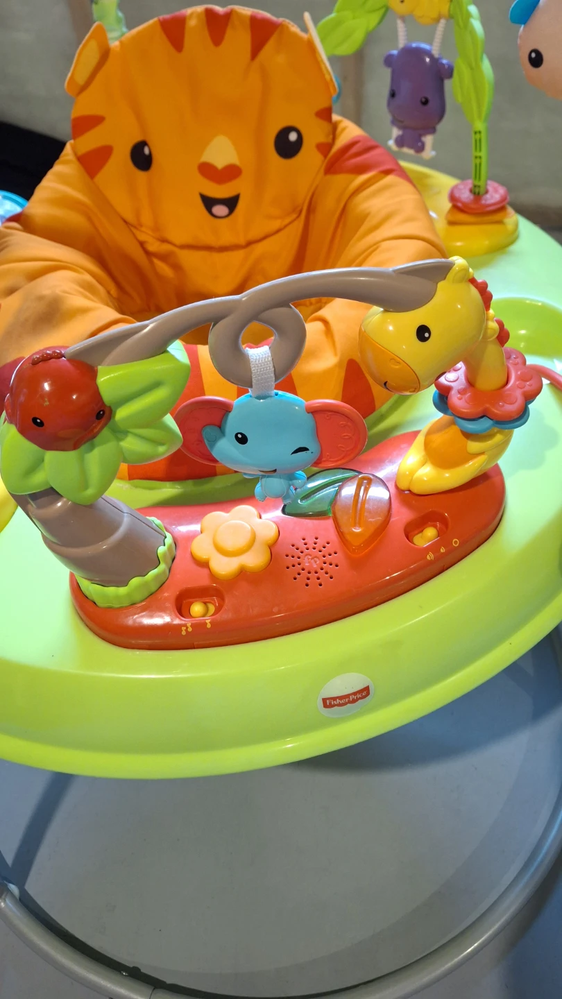 Fisher-Price Baby Jumperoo - photo 2