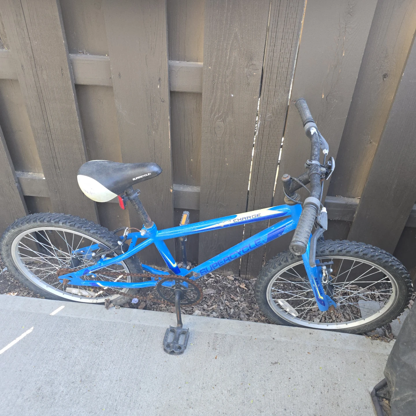 Blue Mountain Bike - photo 2