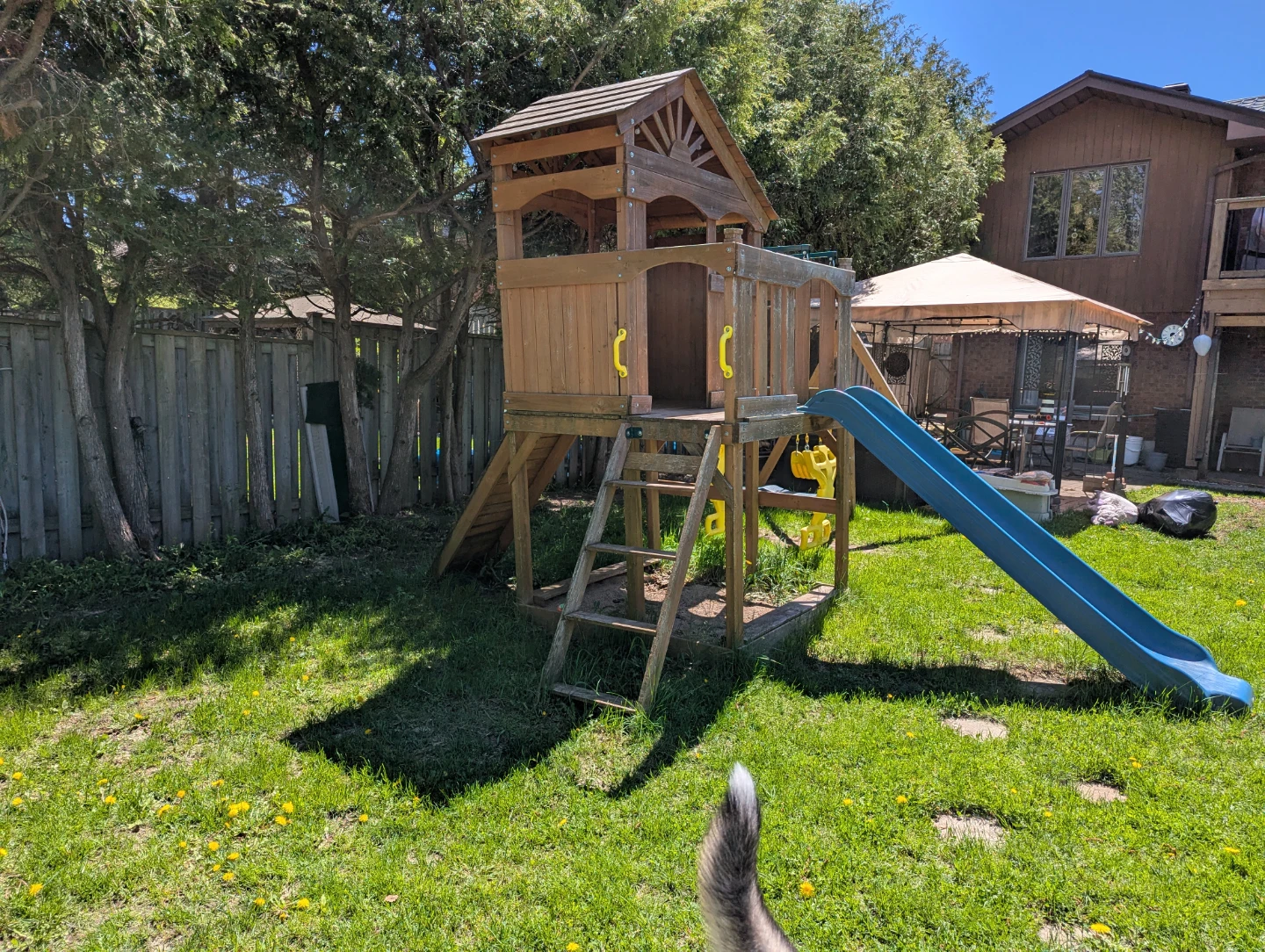 Outdoor tree house with swings