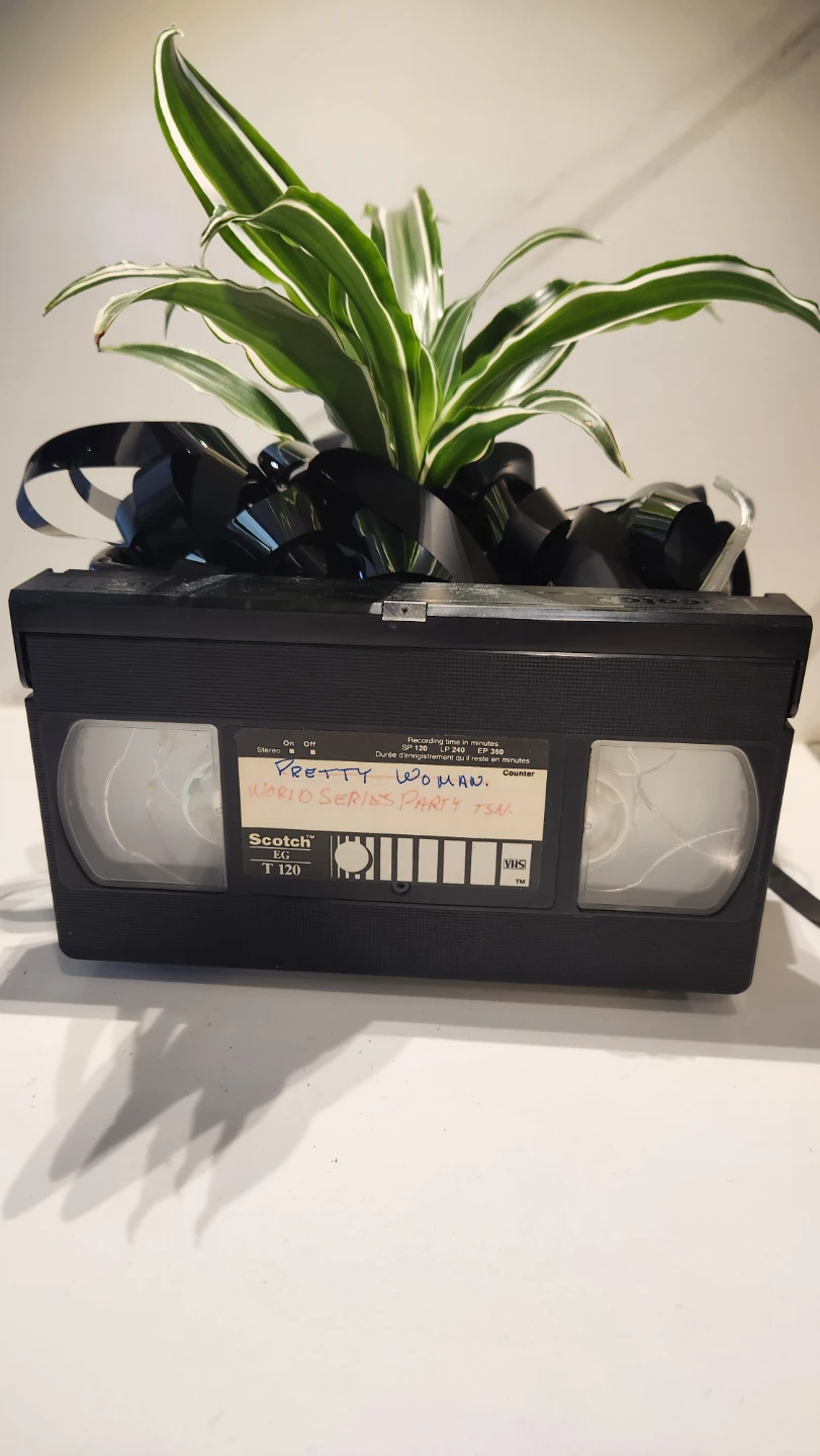 Upcycled VHS tape planter with plant - photo 4