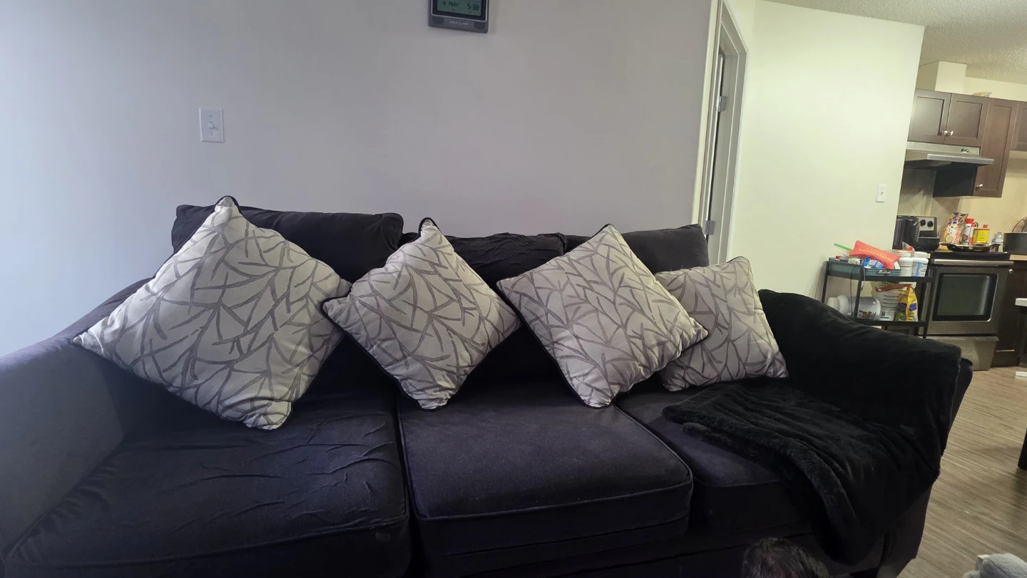Dark Grey Sofa with Accent Pillows