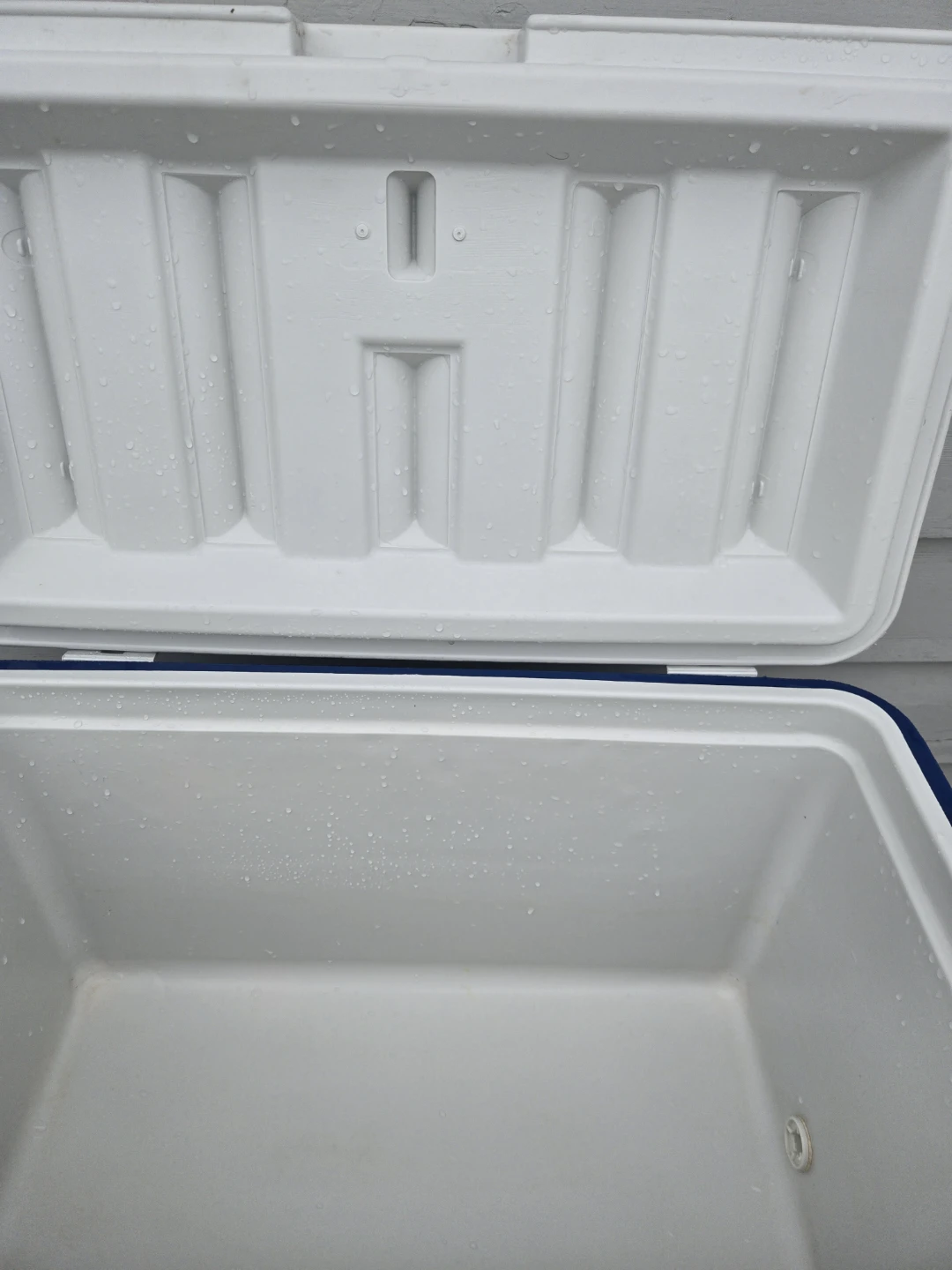 Coleman Cooler - photo 3