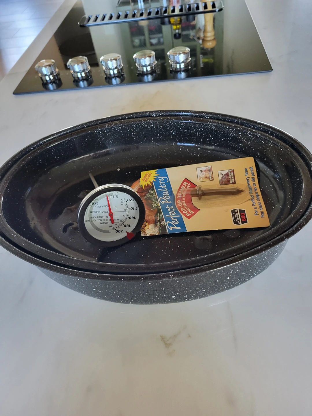 Oval Roasting Pan with Lid & thermometers - photo 2