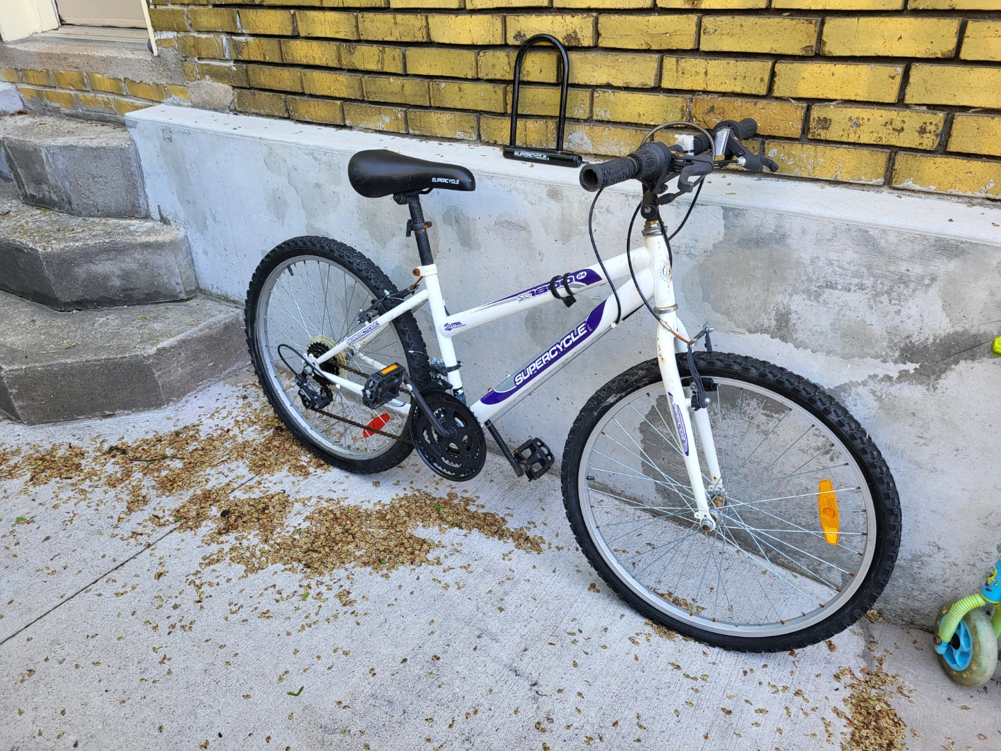 Handyman special 24" Mountain Bike