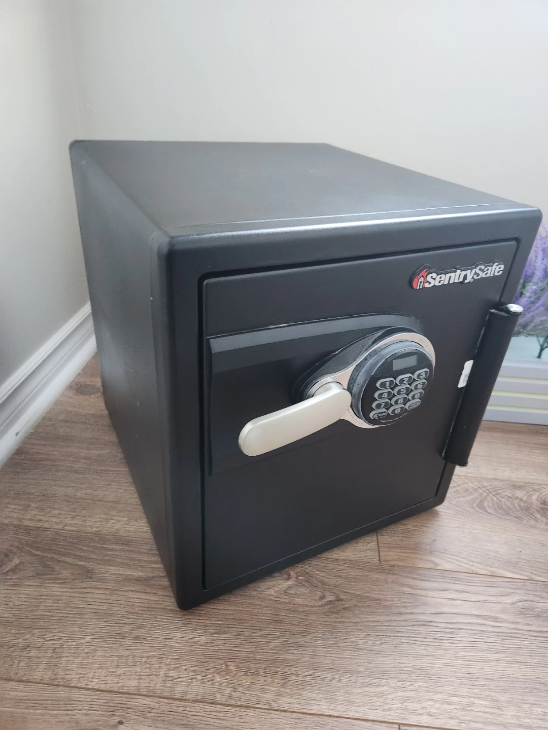 SentrySafe Digital Lock Safe - photo 4