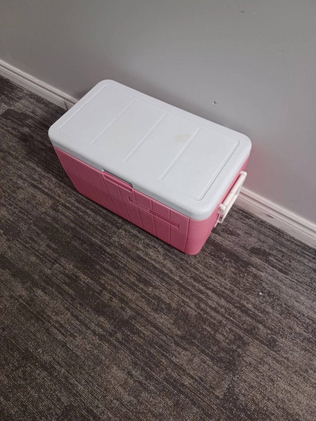 Coleman Cooler - photo 3