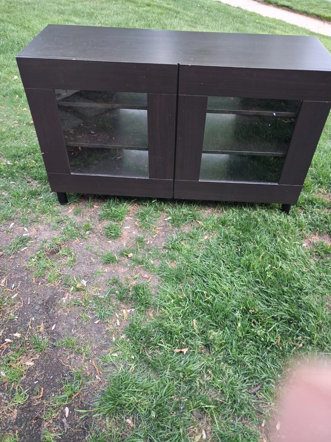 Dark Wood 2-Door Cabinet with Glass Doors