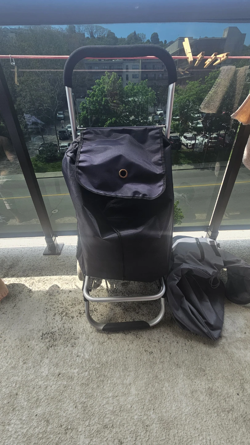 Black Shopping Cart with Detachable Bag