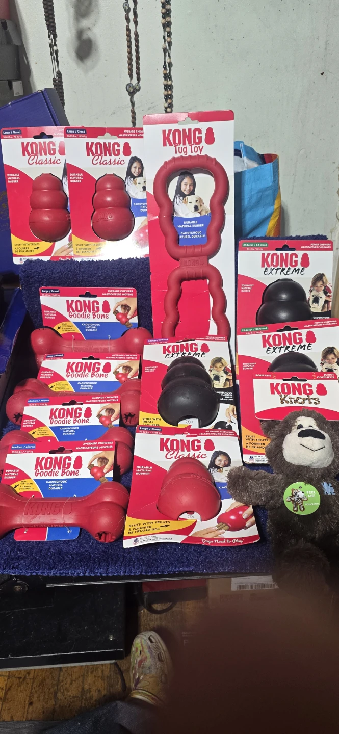 KONG Dog Toys Bundle - Classic, Extreme, Tug Toy, Doodle Bone
