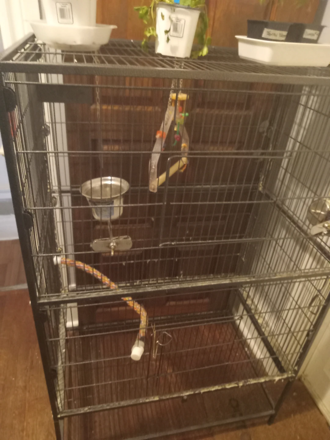 Large Bird Cage with Perches and Food Bowls