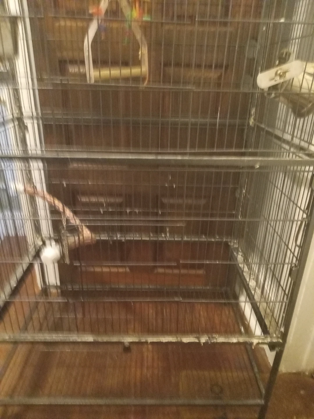 Large Bird Cage with Perches and Food Bowls - photo 4