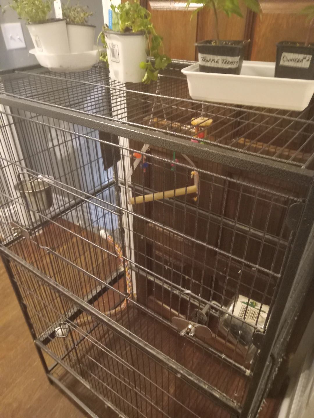 Large Bird Cage with Perches and Food Bowls - photo 5