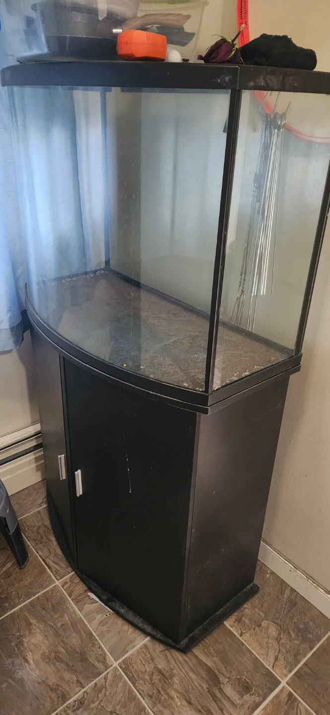 Bowfront Aquarium with matching stand