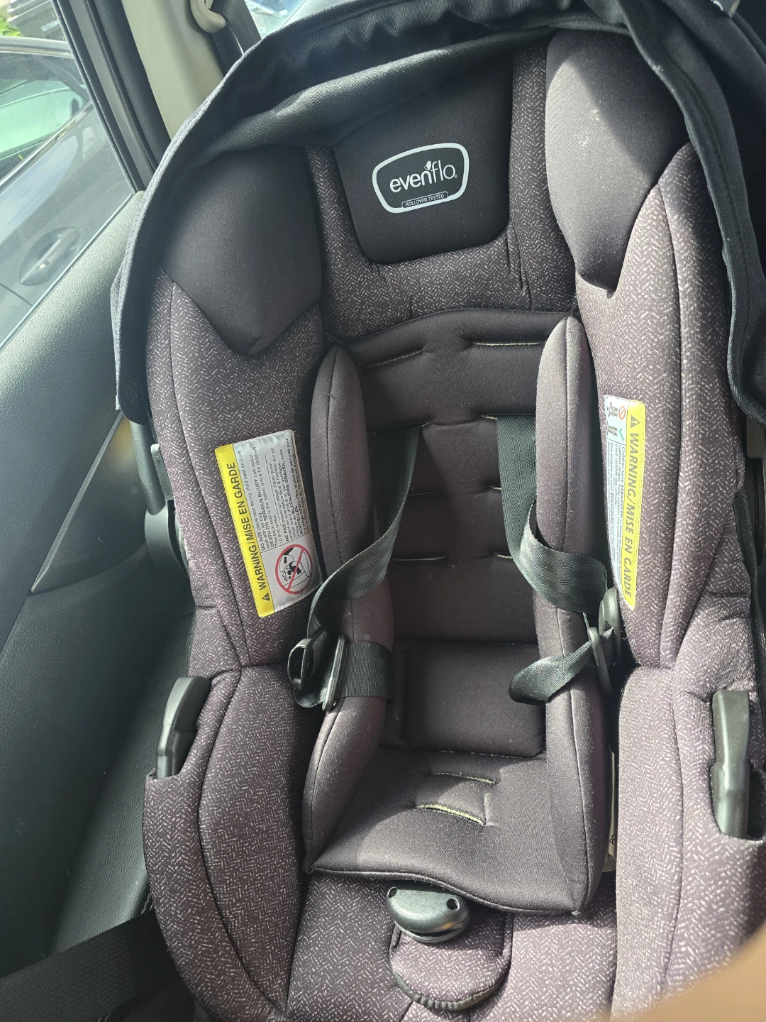 Evenflo Infant Car Seat