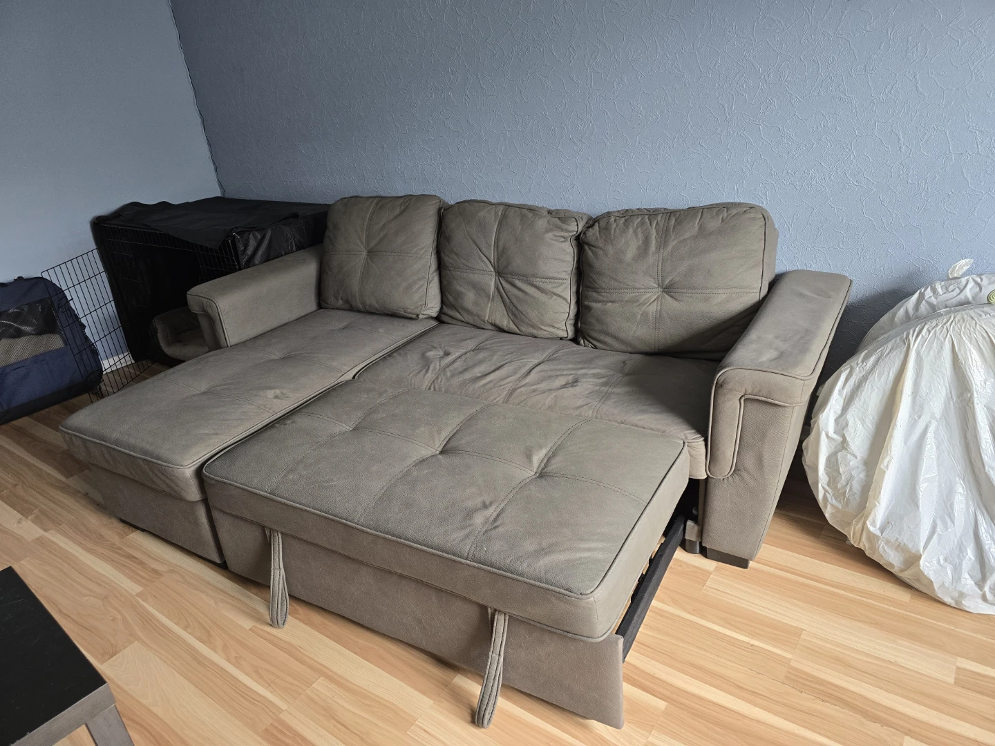 Grey Sectional Sofa with Pull-out Bed - photo 4