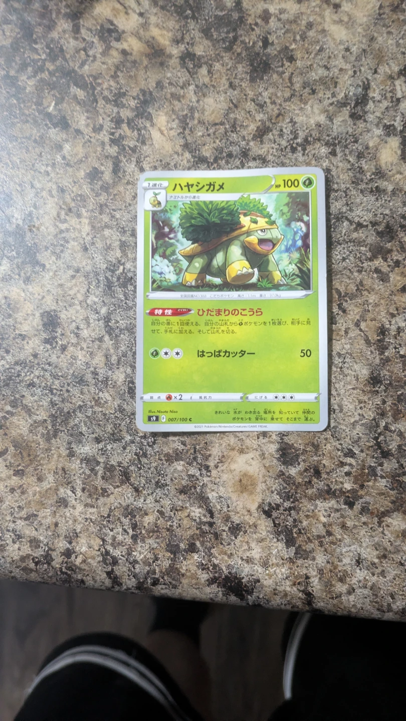 Pokémon TCG Card - Japanese Hayashigame (Grovyle)
