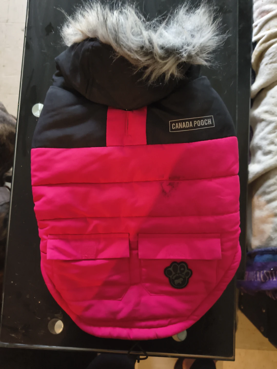Canada Pooch Dog Winter Jacket - Black/Pink