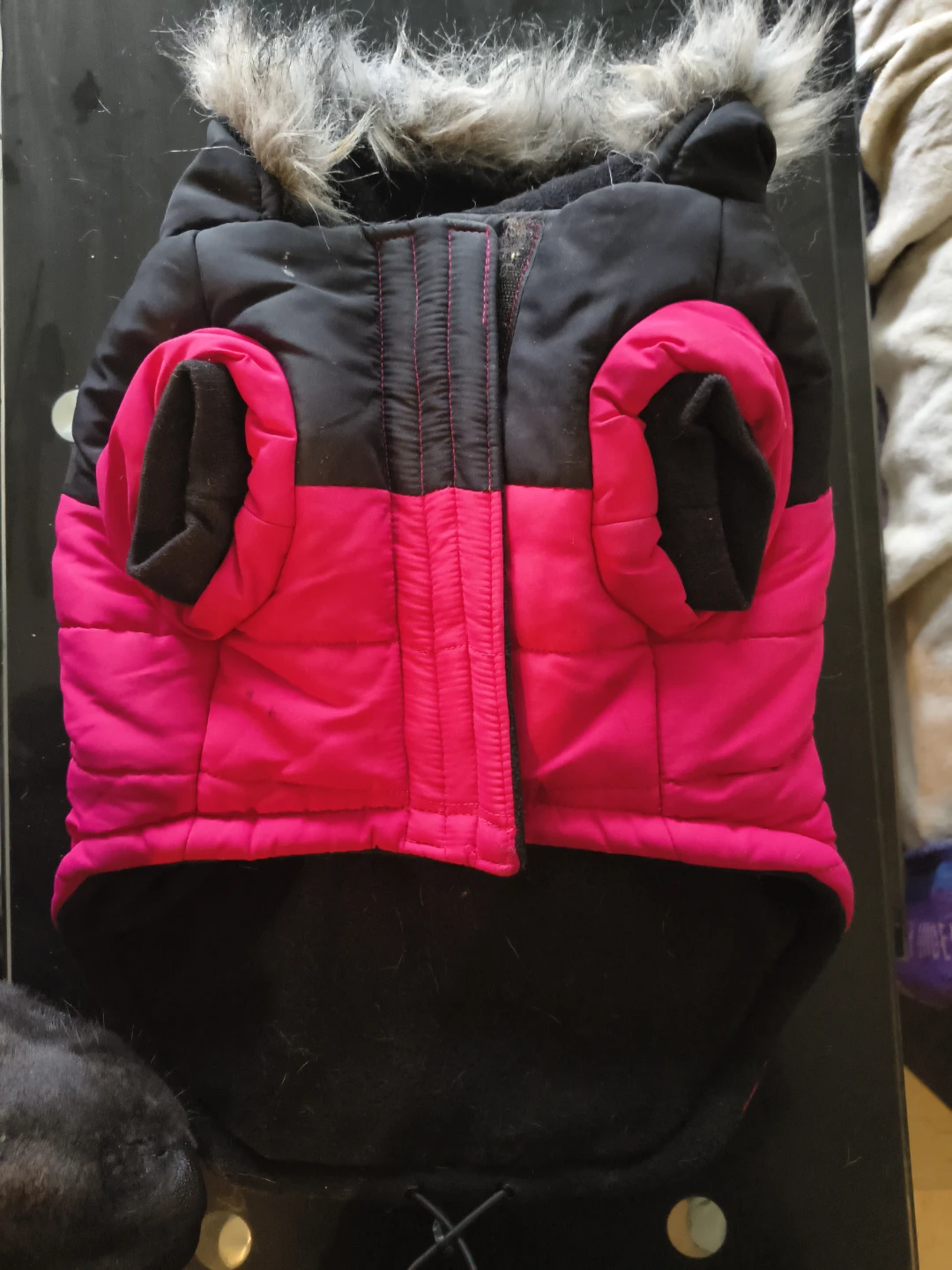 Canada Pooch Dog Winter Jacket - Black/Pink - photo 2