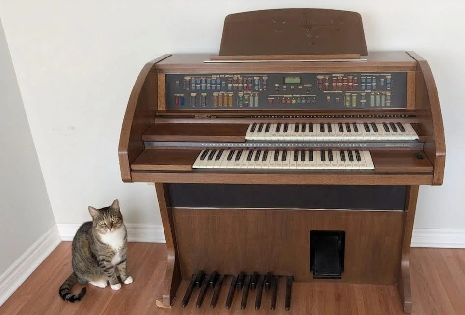 Lowrey Fiesta Organ