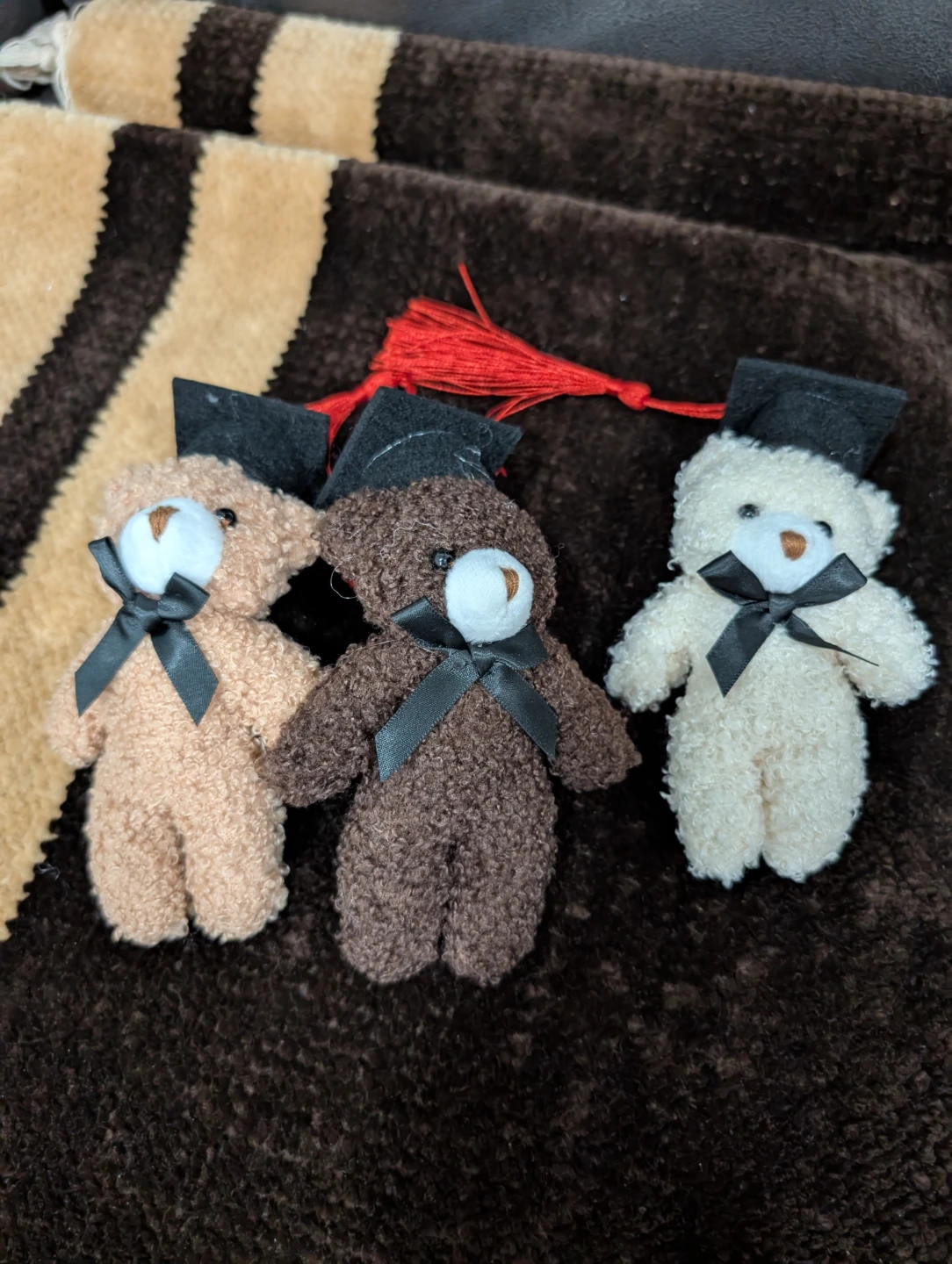 Mini Graduation Teddy Bears - Set of 3 (21 total)