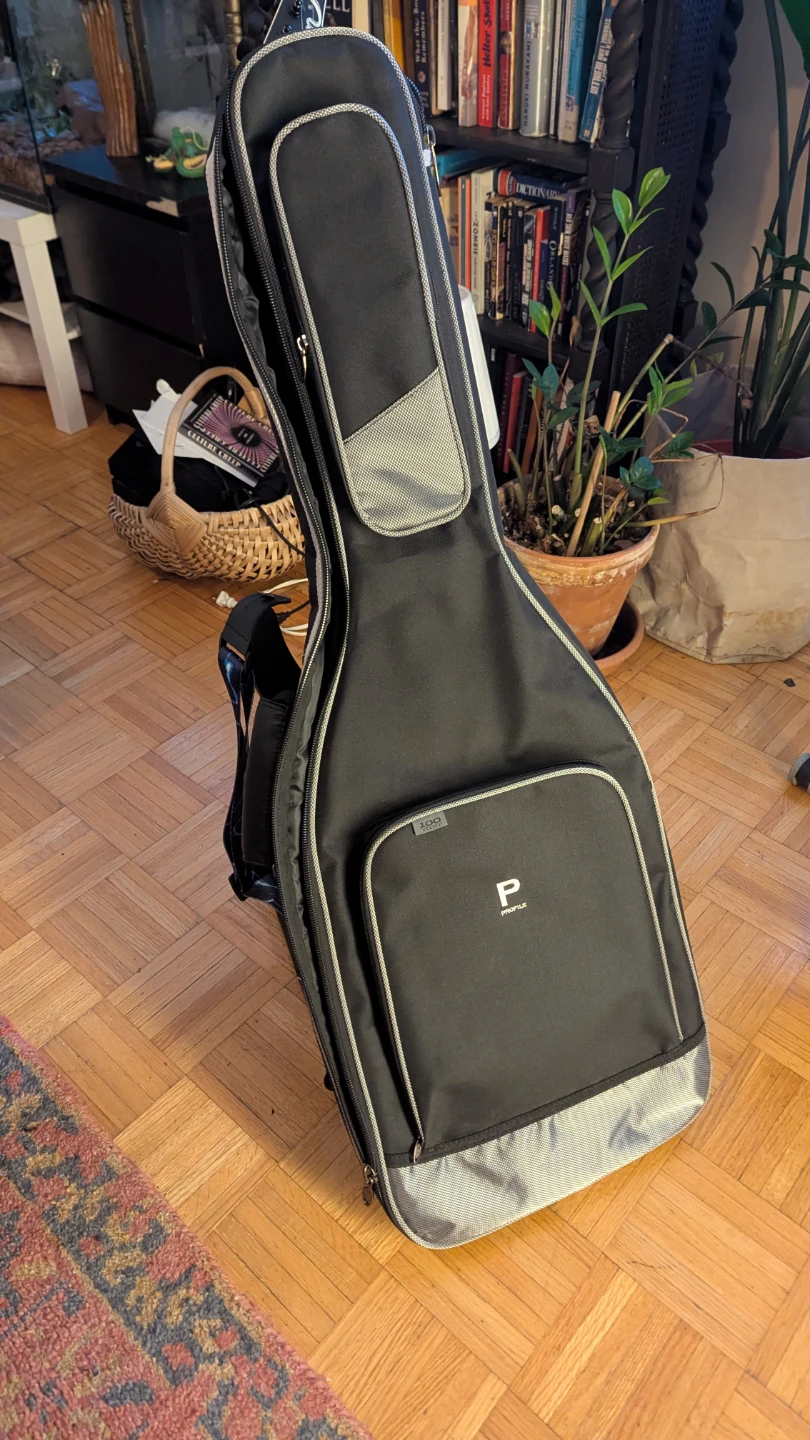 Jackson Guitar, Marshal Amp and bag - photo 4