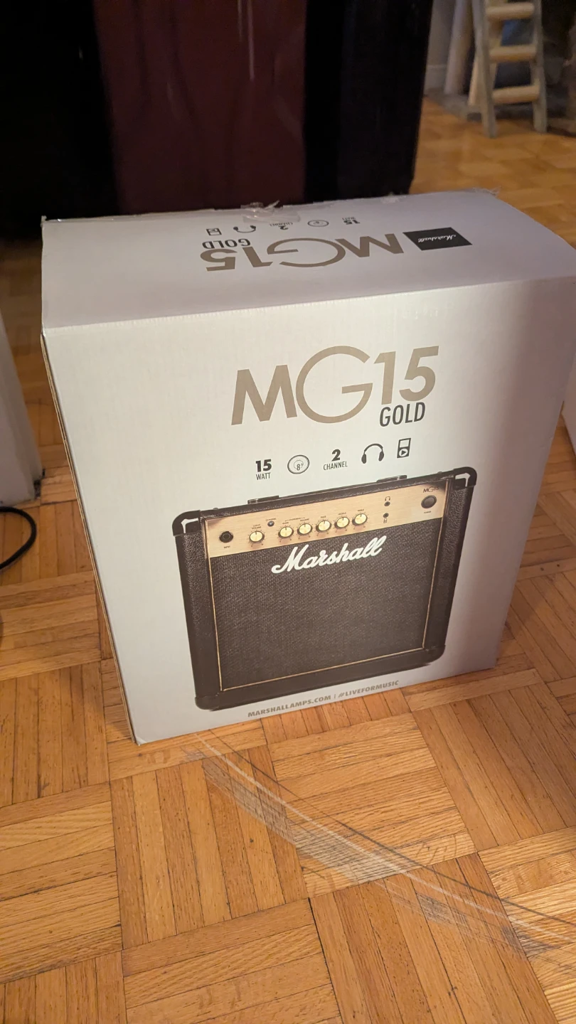 Jackson Guitar, Marshal Amp and bag - photo 5