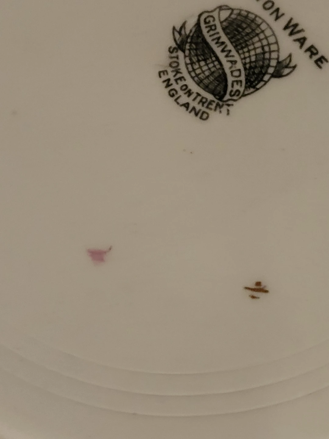 Wedgwood Nanette Blue Plate - photo 5