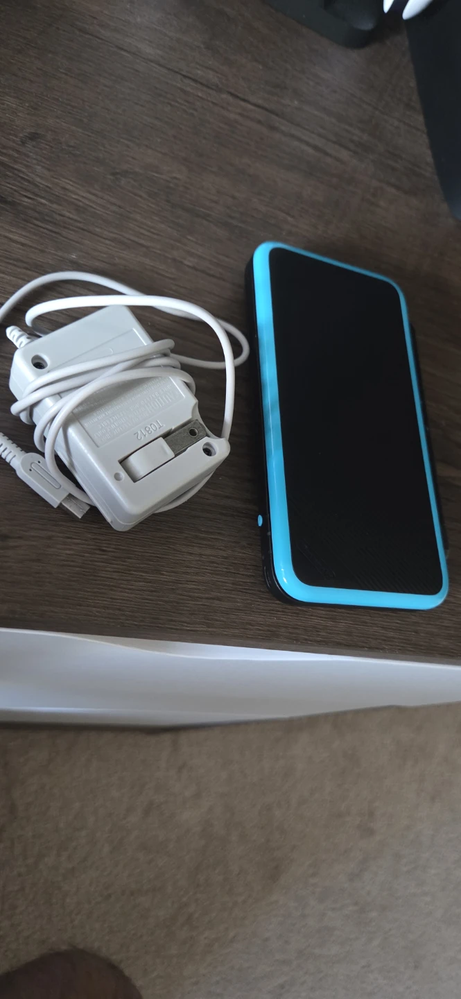 Nintendo DS Lite Charger and Console
