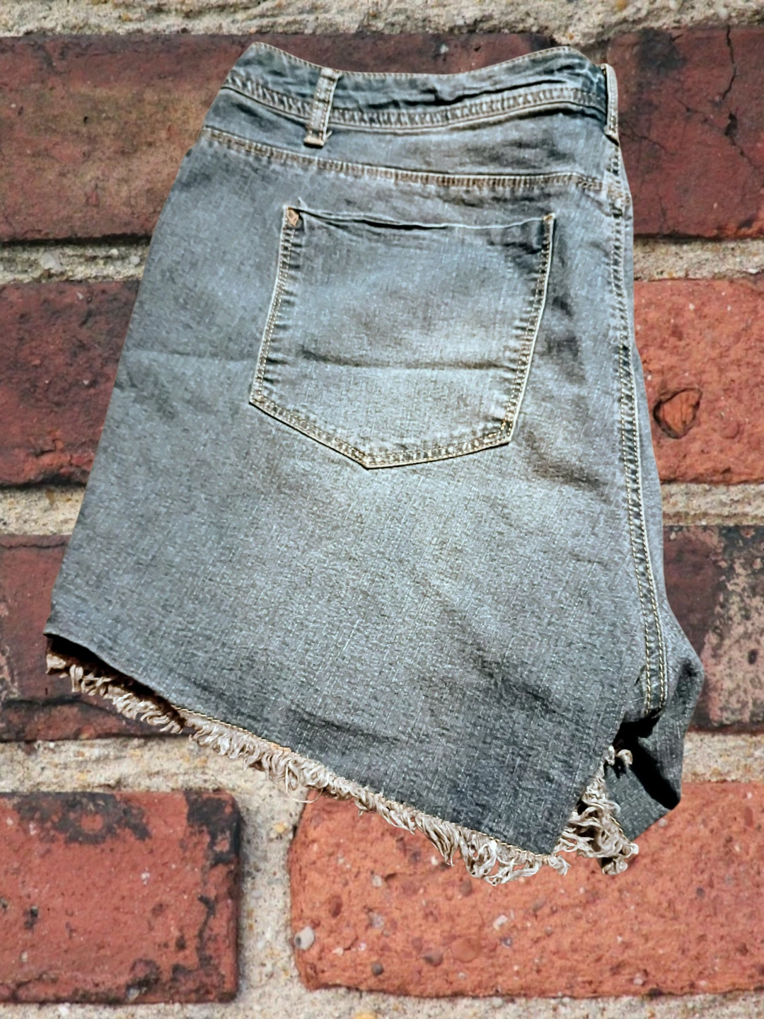 Women's jean shorts by Adriano Goldschmied (AG) size 20