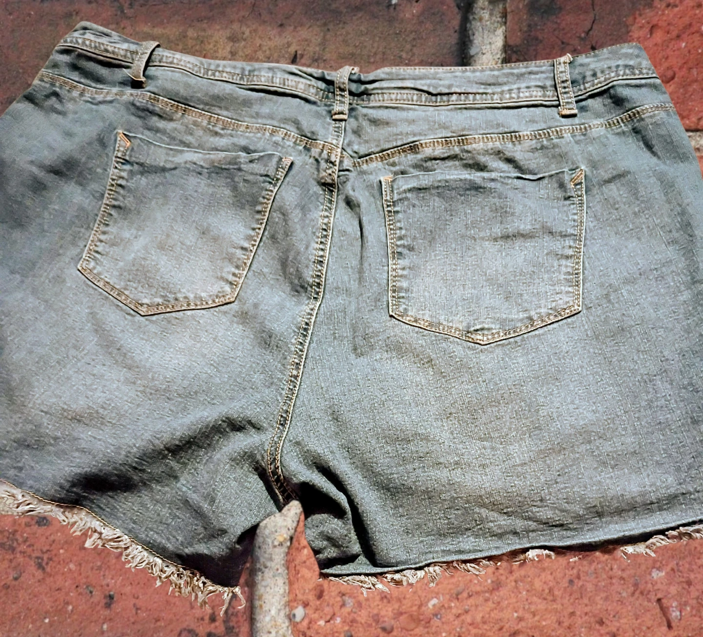 Women's jean shorts by Adriano Goldschmied (AG) size 20 - photo 3