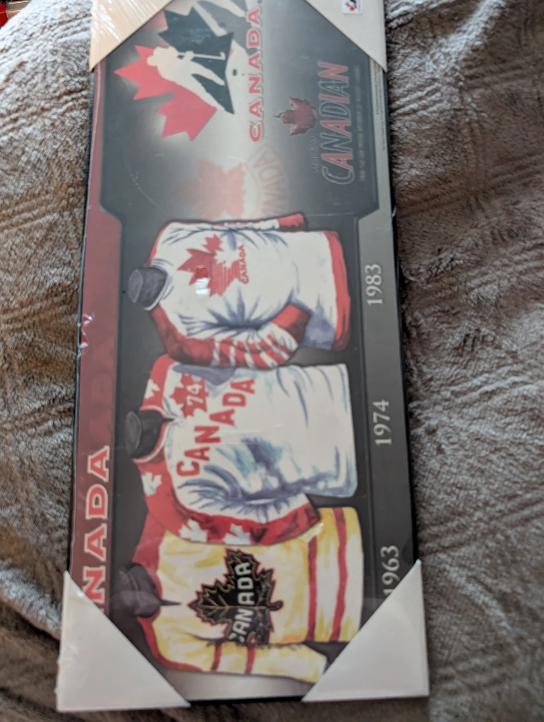 Team Canada Hockey Jersey History Wall Art - photo 2