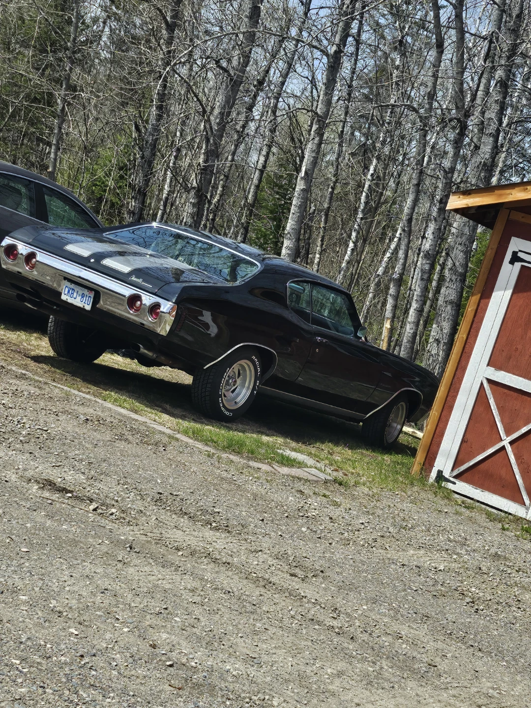 Car show