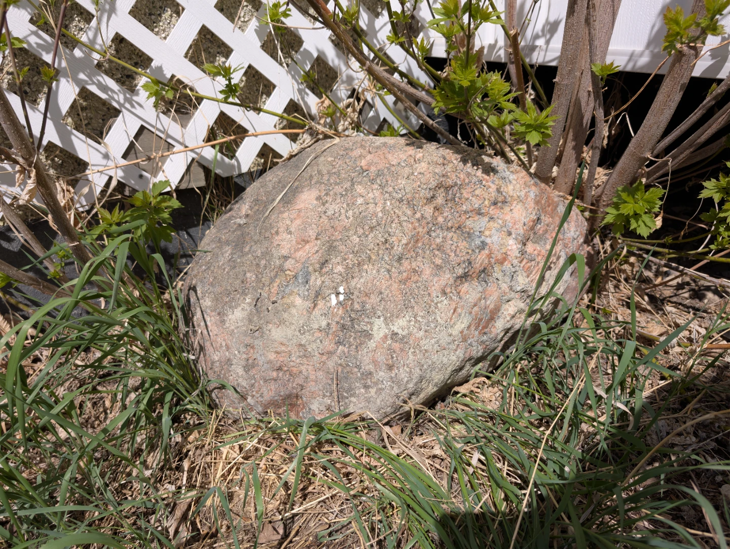 Decorative Boulder