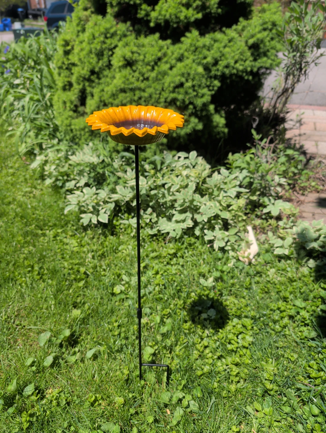Sunflower Bird Feeder