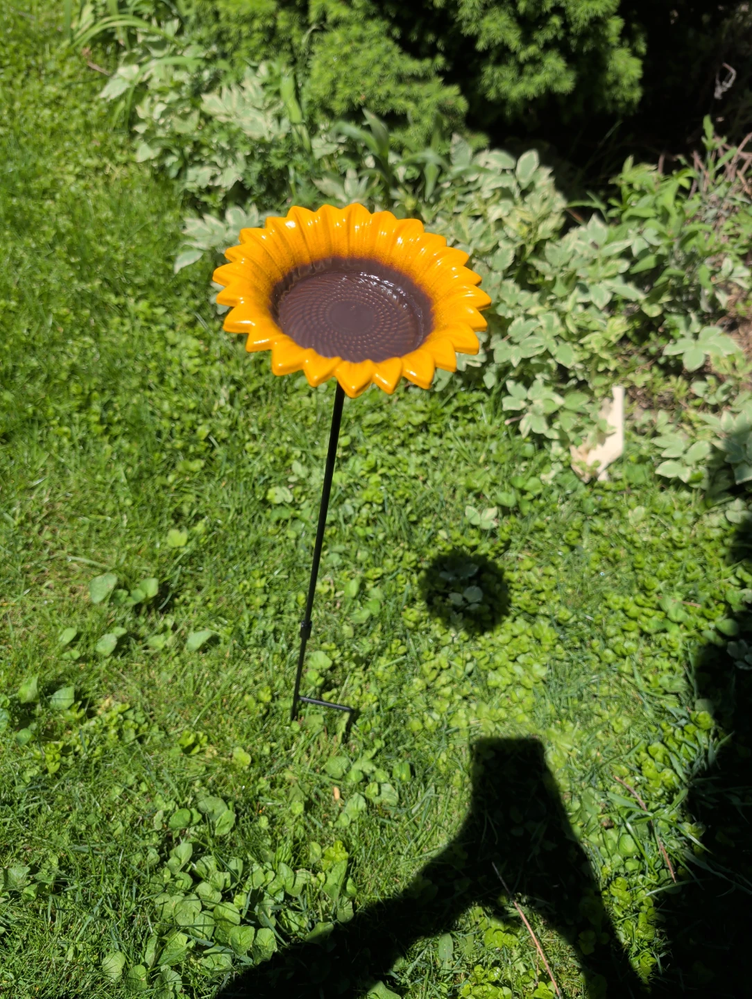 Sunflower Bird Feeder - photo 2