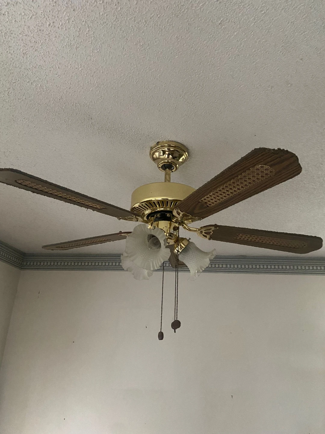 5-Blade Ceiling Fan with Lights