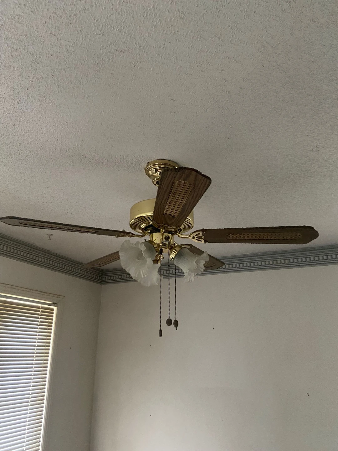 5-Blade Ceiling Fan with Lights - photo 3