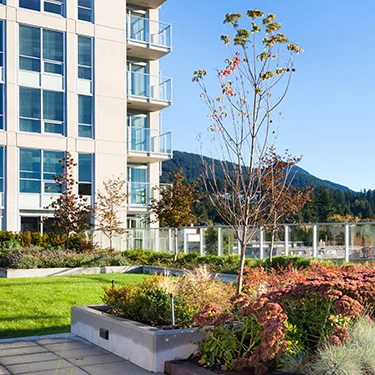 Renting the central Lonsdale Apartment! - photo 3