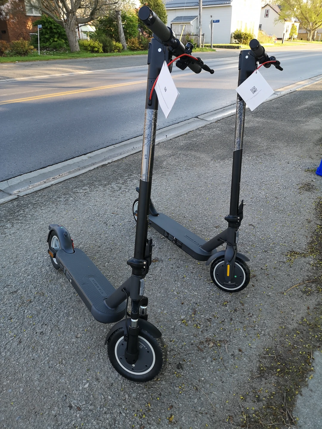 350-400 watt Electric Scooter
