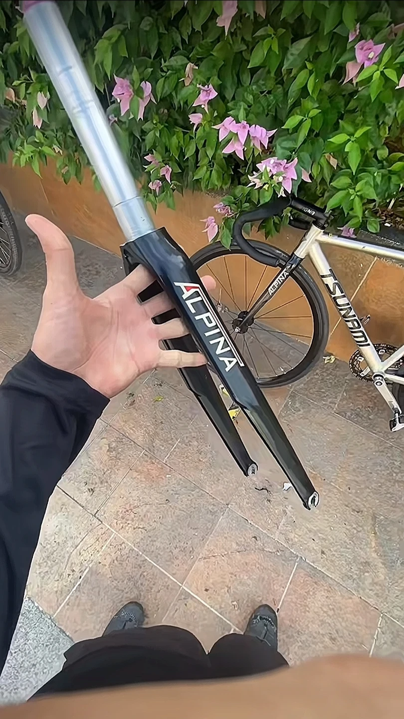 Alpina Alucarb Fork for Bicycle