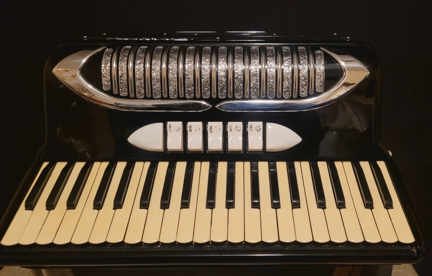 Bertini Accordian w/ Case - photo 4