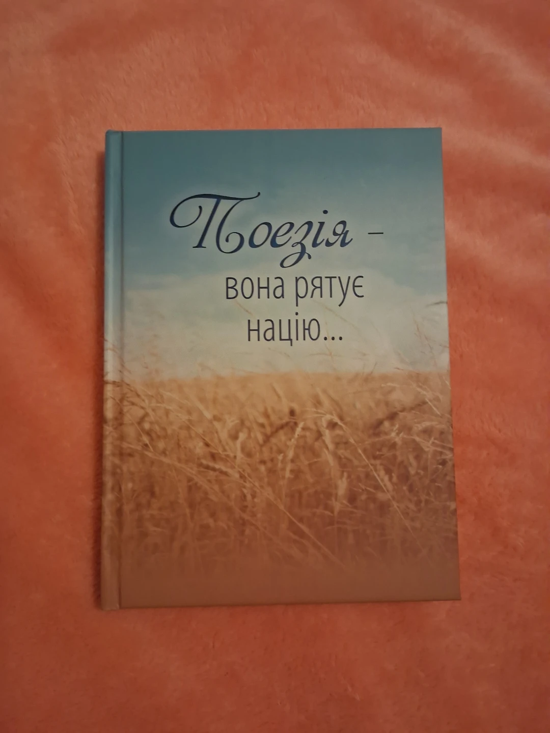 Poetry - It Saves the Nation Book