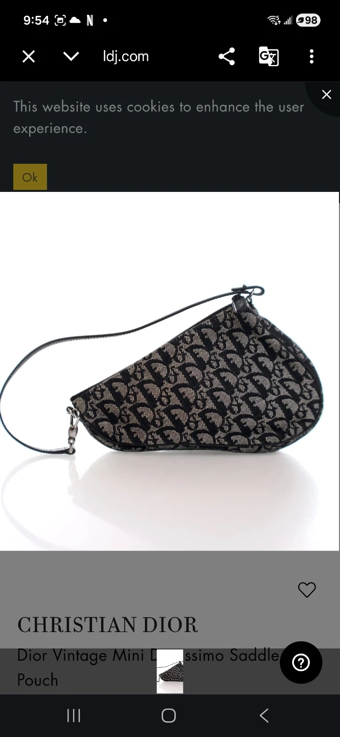 Christian Dior Vintage Mini Saddle Pouch