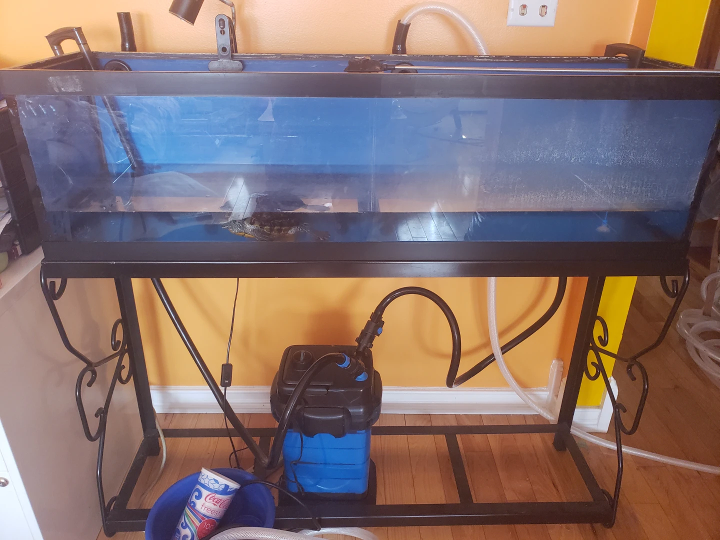 Aquarium Turtle Tank with Stand