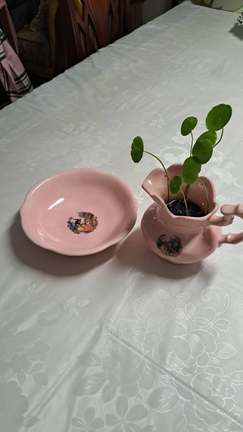 Pink Ceramic Pitcher and Saucer Set with Money plants - photo 2