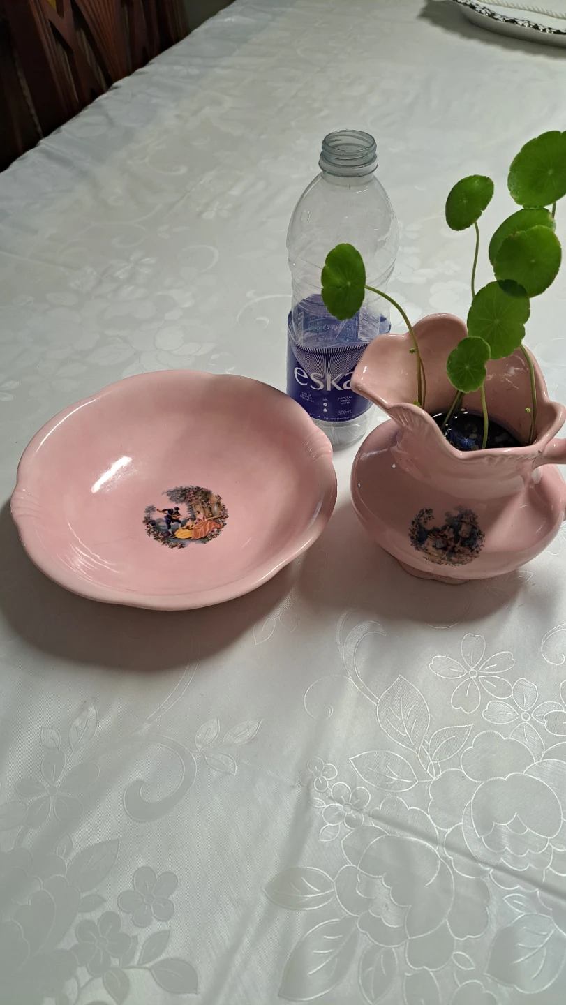 Pink Ceramic Pitcher and Saucer Set with Money plants - photo 3