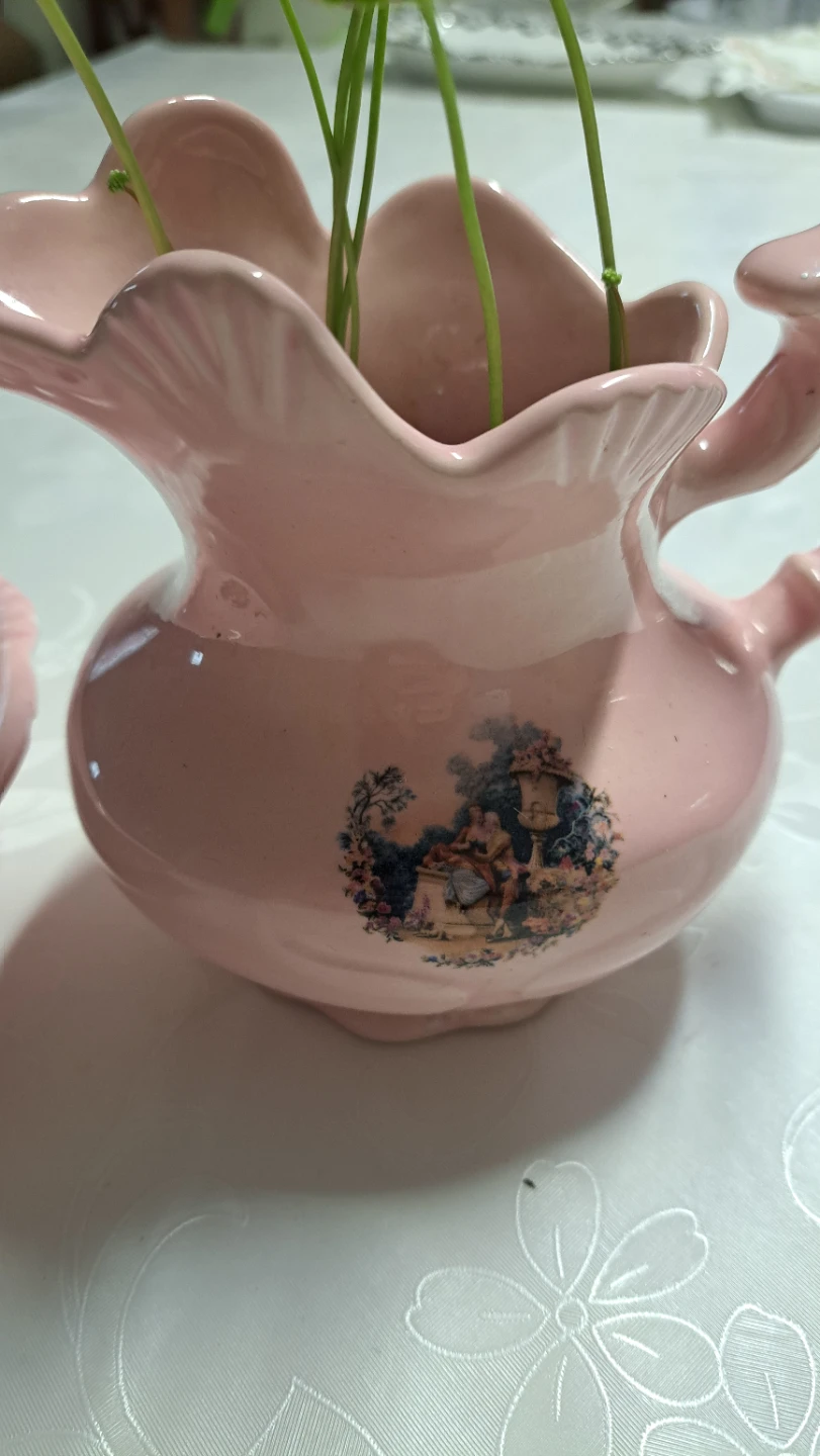 Pink Ceramic Pitcher and Saucer Set with Money plants - photo 4