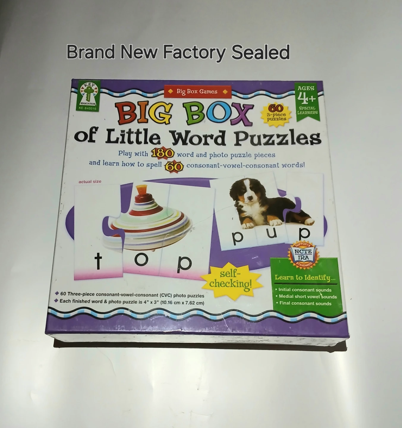 Big Box of Little Word Puzzles
